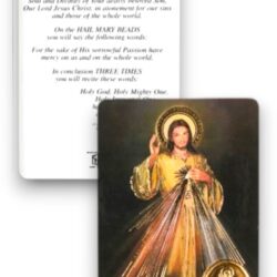 Gold Foiled Divine Mercy Prayer Card (CAR3-005)