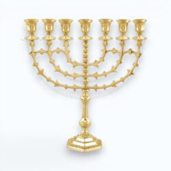 Menorah with Leaf Design (CAN4-020)