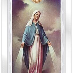 Our Lady of the Miraculous Medal Prayer Card with Gold Medal (CAR5-006)