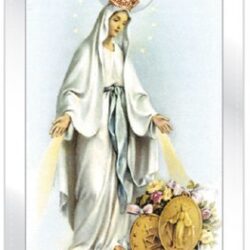 Our Lady of Grace Prayer Card with Gold Medal (CAR5-003)