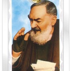 St Padre Pio Prayer Card Gold Medal (CAR4-036)